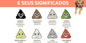 Tipos de fezes de cachorro