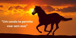 Frases sobre cavalos