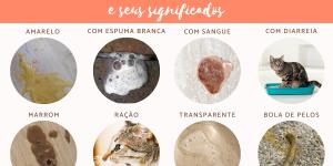 Tipos de vômitos de gatos