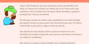 Orações para animais doentes